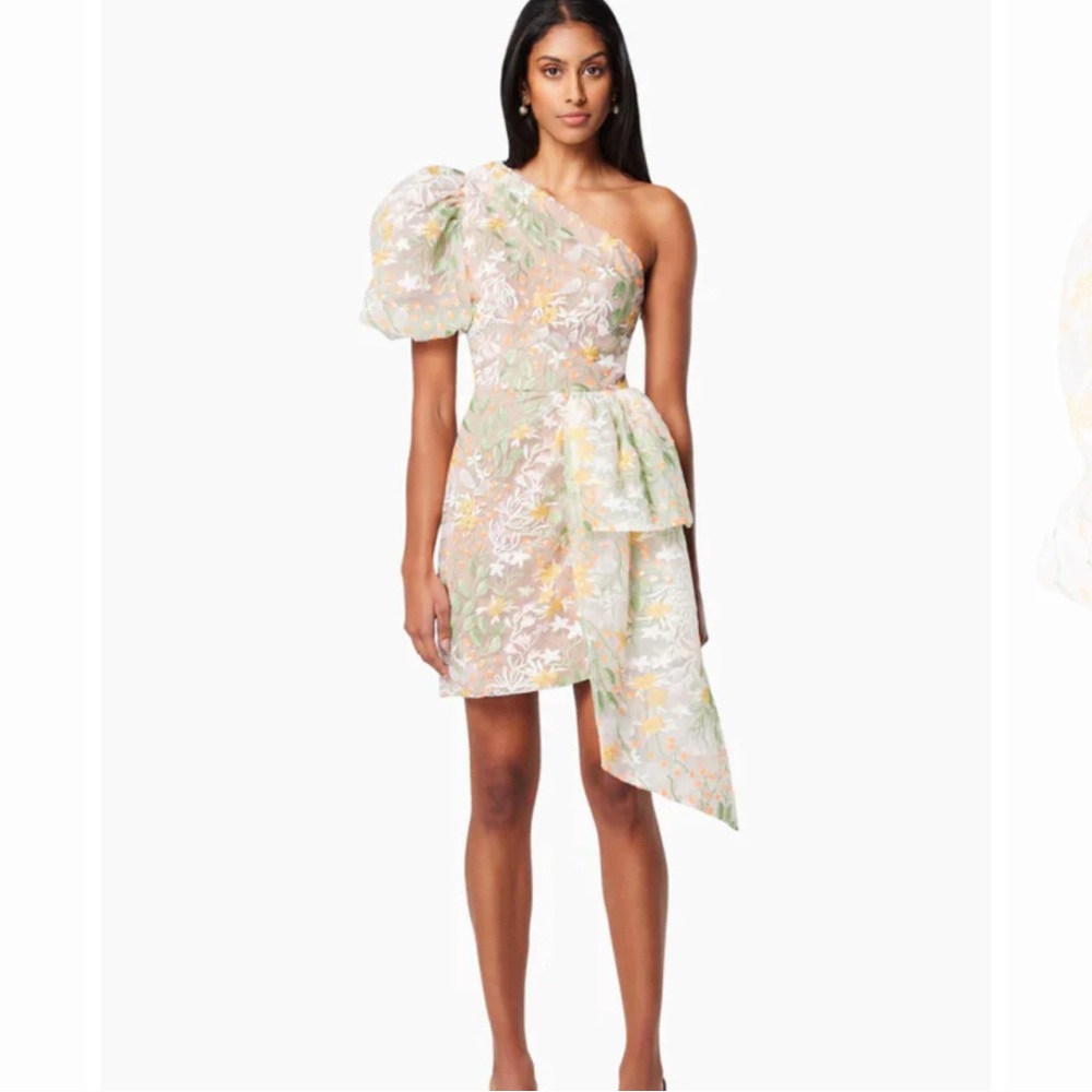 Elliatt Dome Asymmetrical Floral Mini Dress